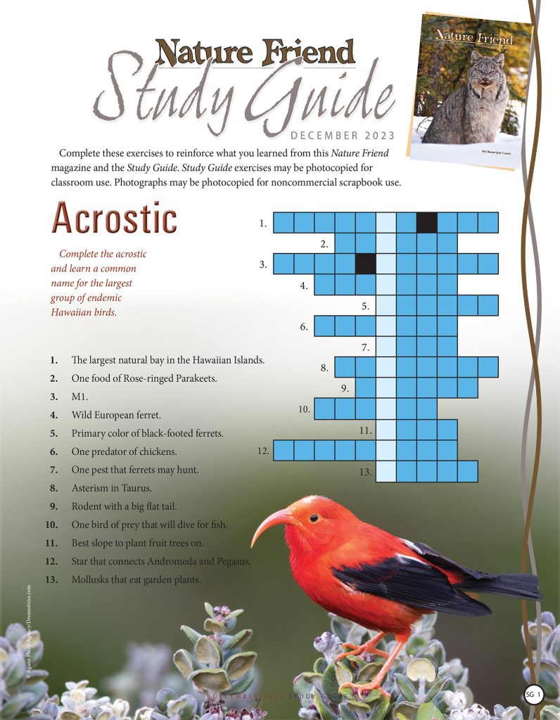 nature acrostic puzzle