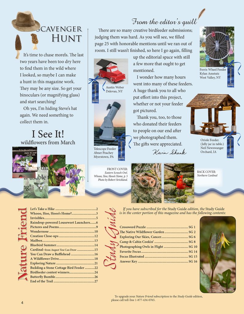 editorial, scavenger hunt puzzle, index, table of contents, bird feeder contest honorable mentions