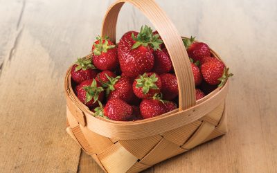 Growing Great Strawberries