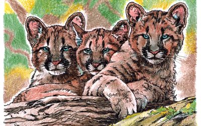 Invisibles, May 2024: Cougar Kittens
