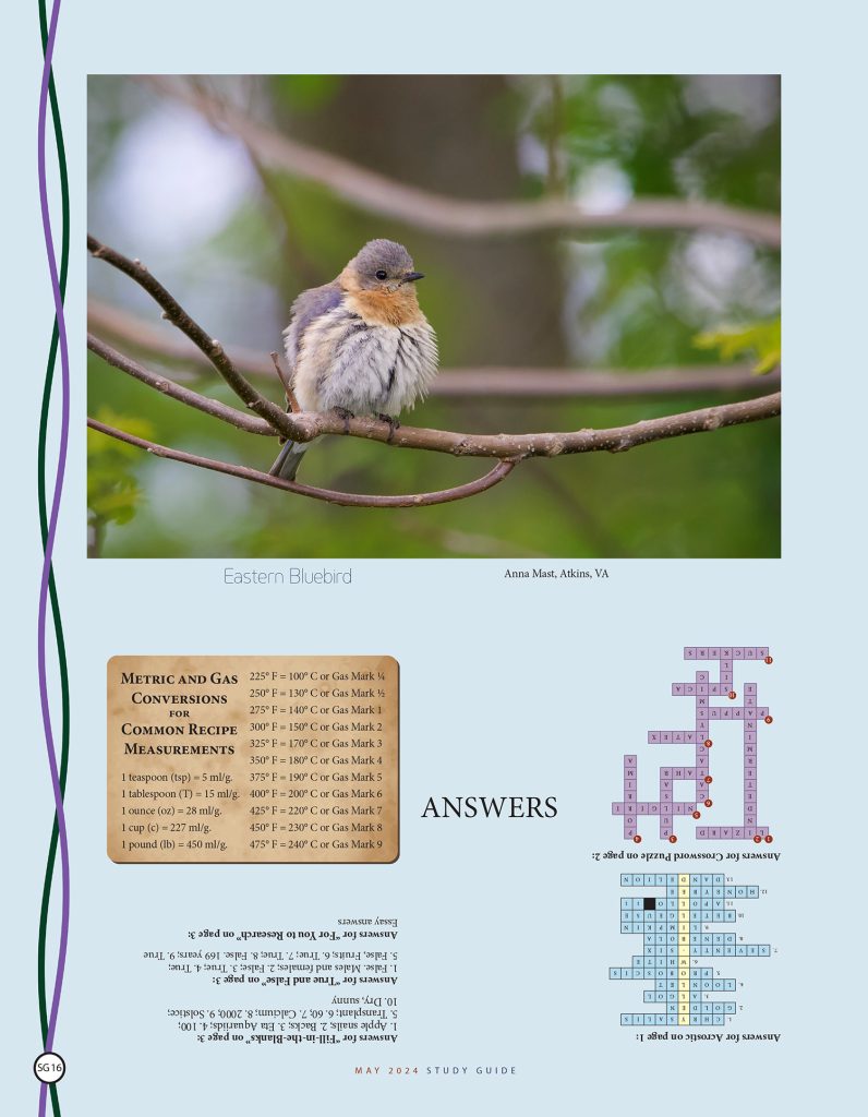 photo of Eastern Bluebird, puzzle answer keys
