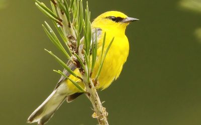 Wrapping up the Migration