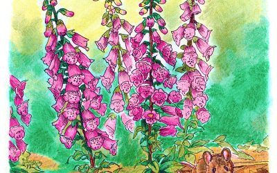Invisibles, June 2024: Foxglove