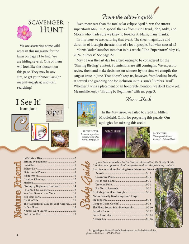 editorial, scavenger hunt puzzle, index/table of contents