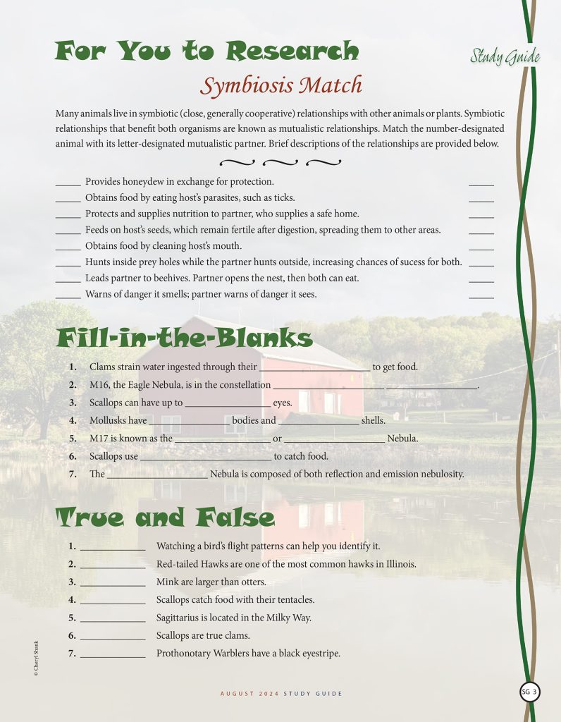 symbiosis matching puzzle, fill in the blanks, true and false