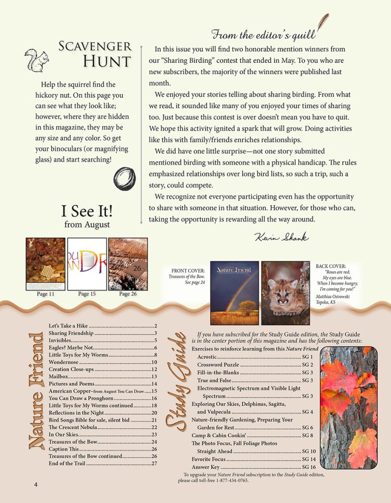 editorial, scavenger hunt puzzle, table of contents, index