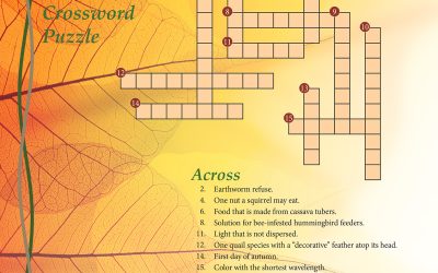Study Guide Puzzles, September 2024