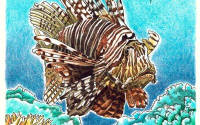 Invisibles, September 2024: Lionfish