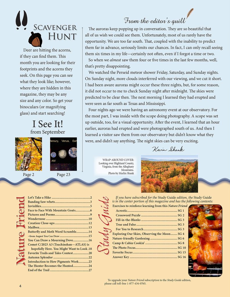 editorial, scavenger hunt puzzle, magazine index, table of contents