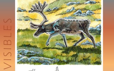 Invisibles, October 2024: Caribou