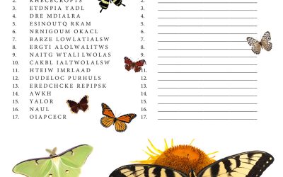 Butterfly and Moth Word Scramble
