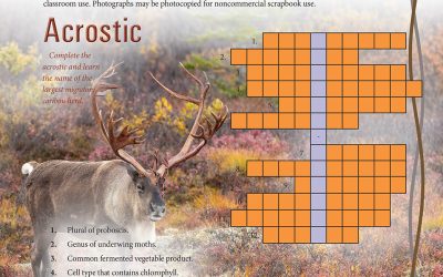 Study Guide Puzzles, October 2024
