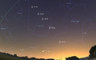 In Our Skies, November & December 2024