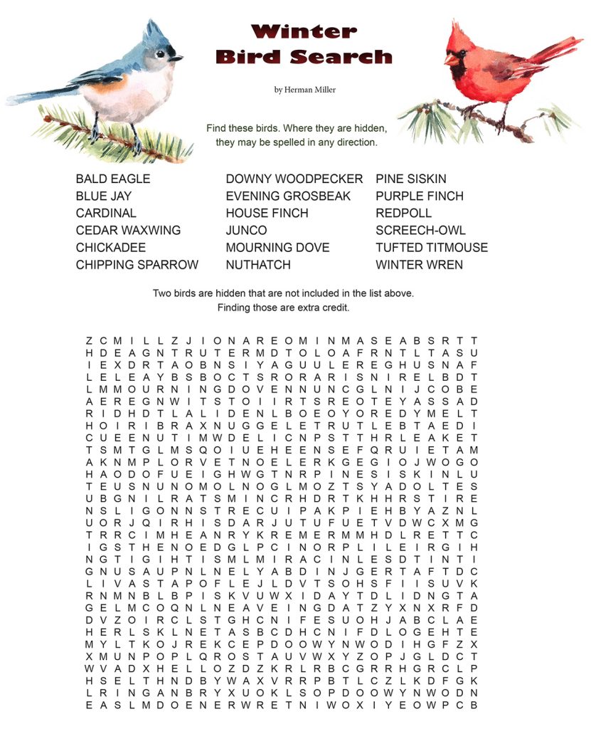 winter bird word search