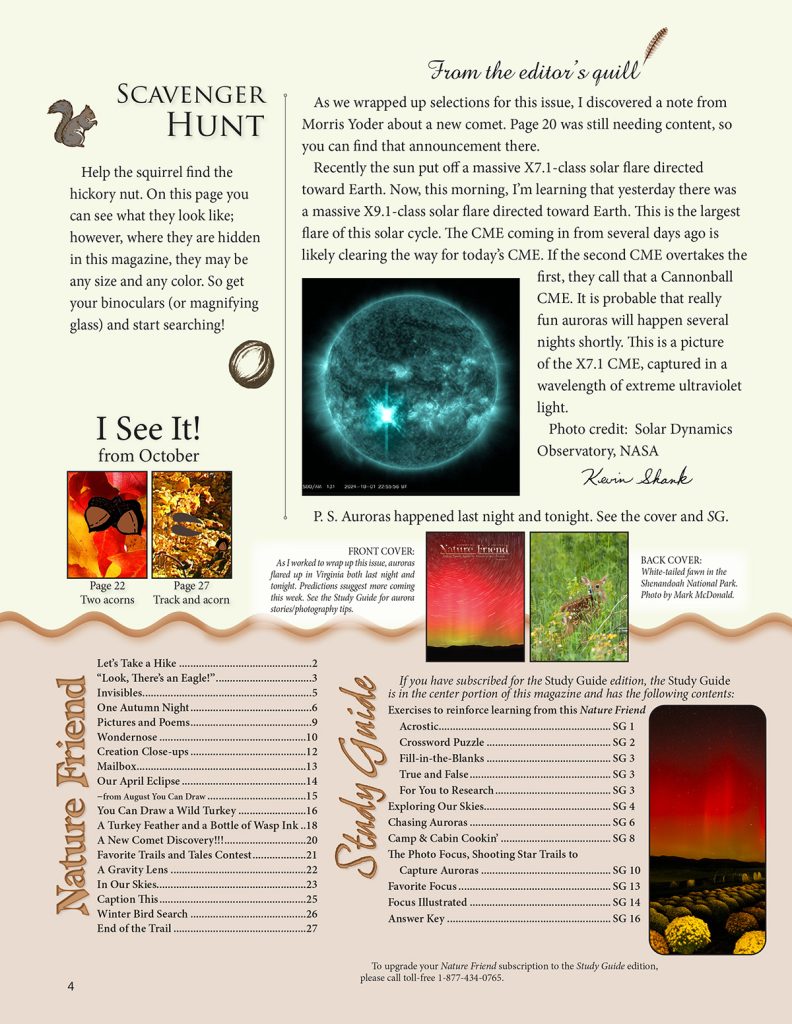 editorial, scavenger hunt puzzle, index, table of contents