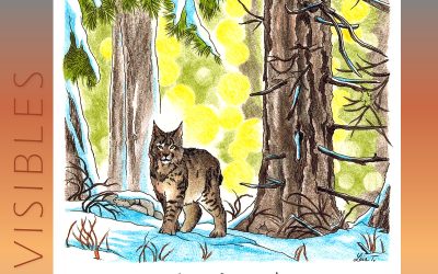 Invisibles, November 2024: Lynx