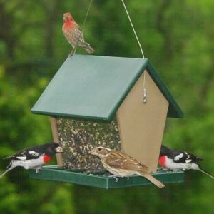 Recycled Plastic Large Hopper Feeder