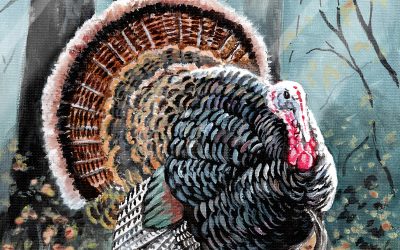 You Can Draw a Wild Turkey Submissions