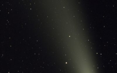 End of the Trail, December 2024: Comets