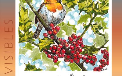 Invisibles, December 2024: European Robin