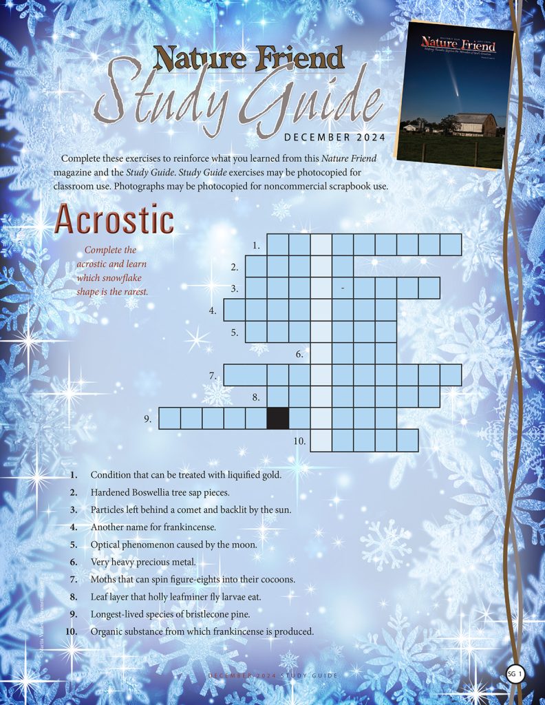 nature snowflake acrostic puzzle