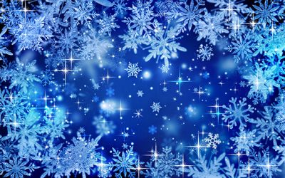 Study Guide Puzzles, December 2024