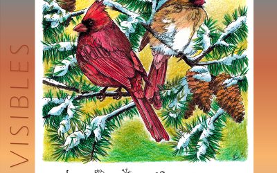 Invisibles, January 2025: Northern Cardinals