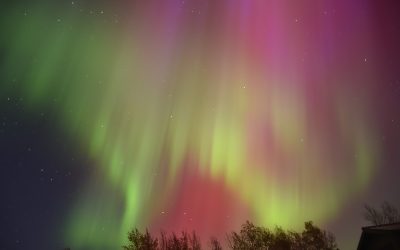 Aurora Photo Gallery Fall 2024
