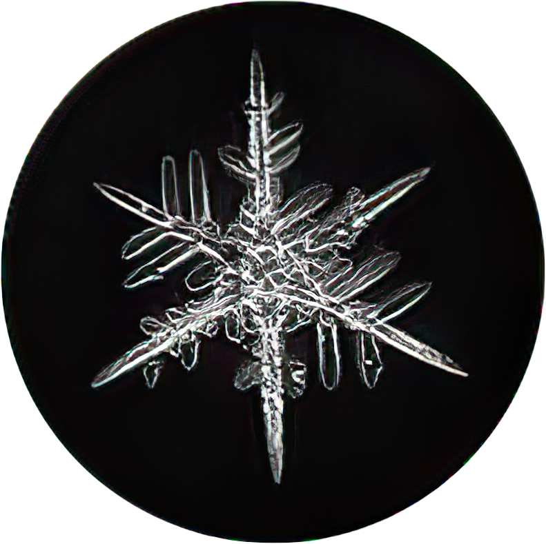 Treasures of the Snow: How I Learned to Photograph Them - Nature Friend ...