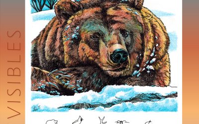 Invisibles, February 2025: Grizzly Bear