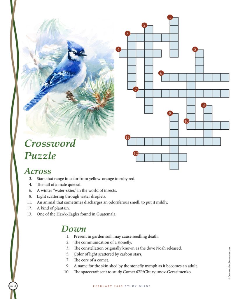 nature crossword puzzle