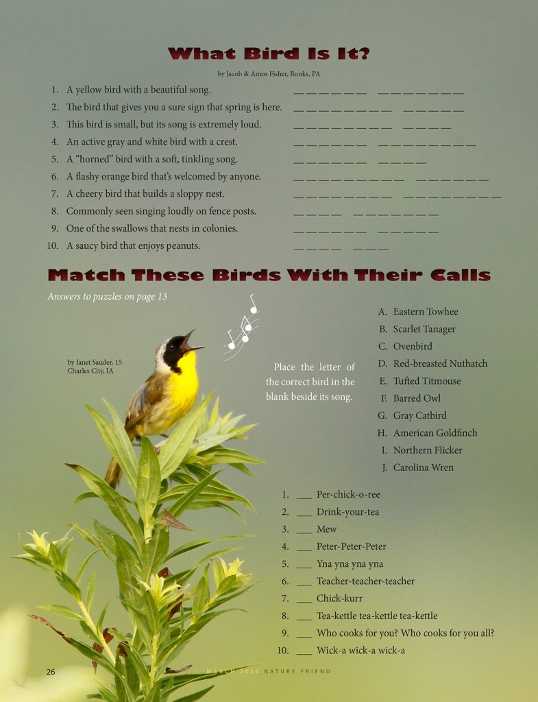 What Bird Is It? and Match These Birds With Their Calls puzzles