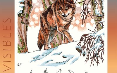 Invisibles, March 2025: Coyote