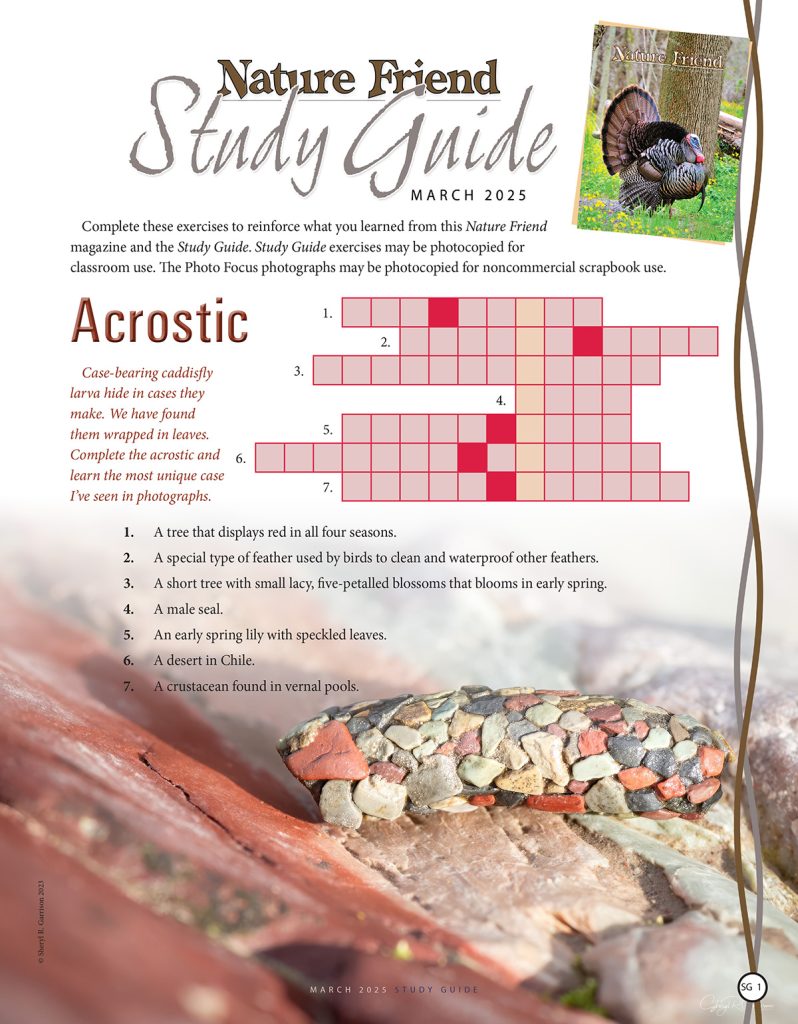 nature acrostic puzzle