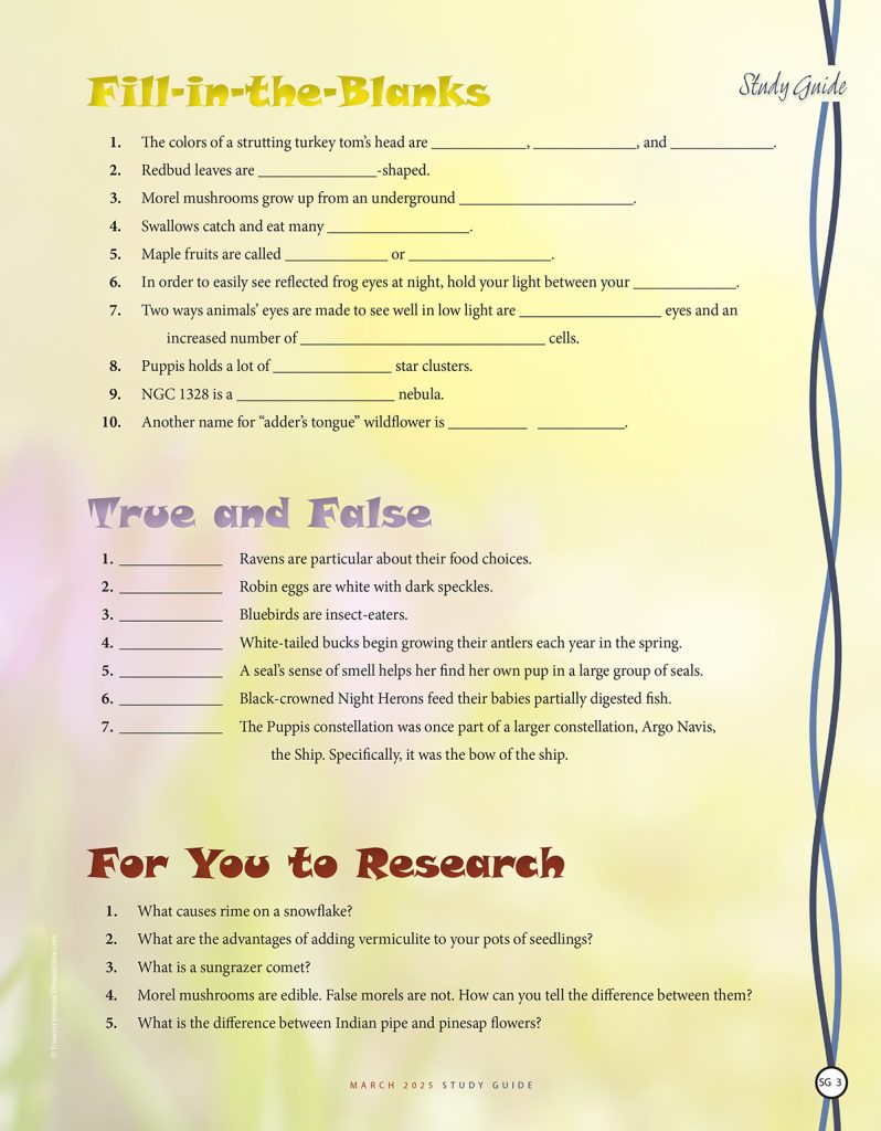 nature puzzles and research questions