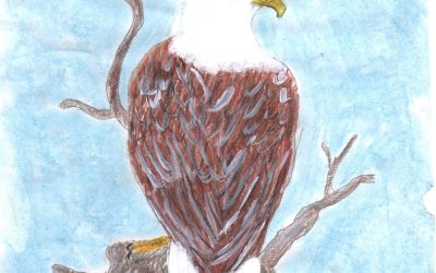Art & Poetry Submissions, February 2025