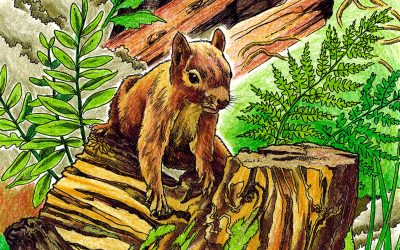 Invisibles, April 2025: Red Squirrel