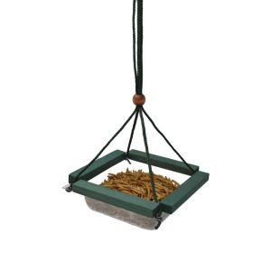 Hanging Mealworm Feeder
