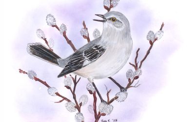 You Can Draw a Mockingbird Submissions