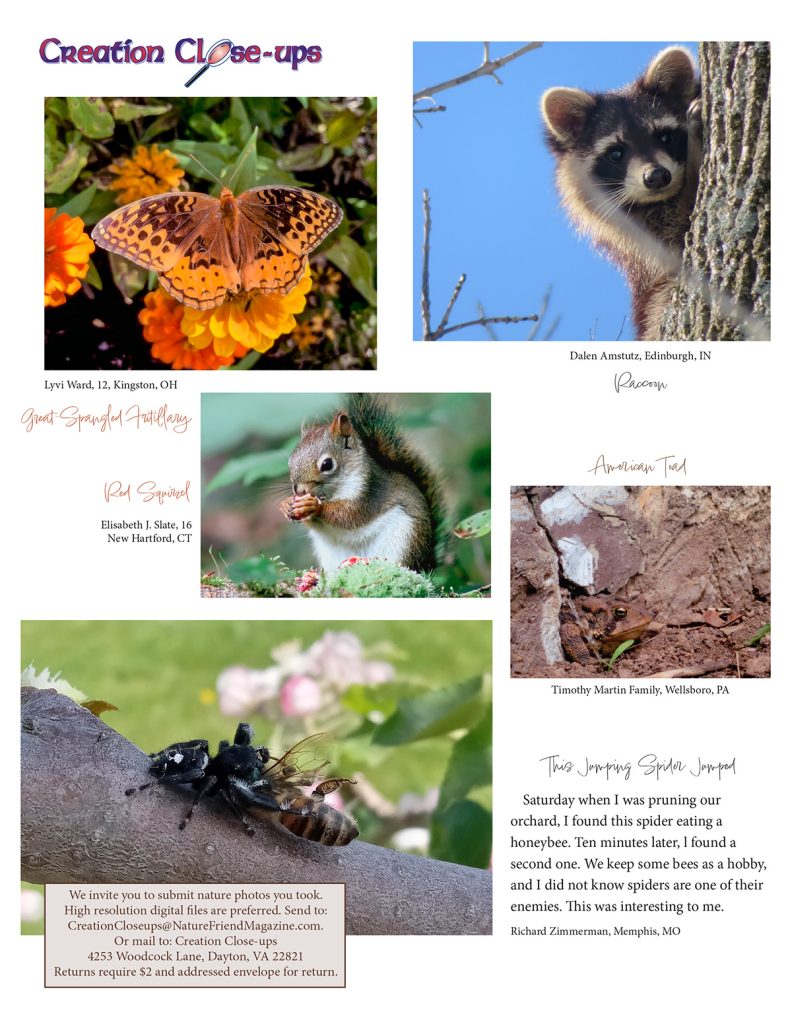 nature photos