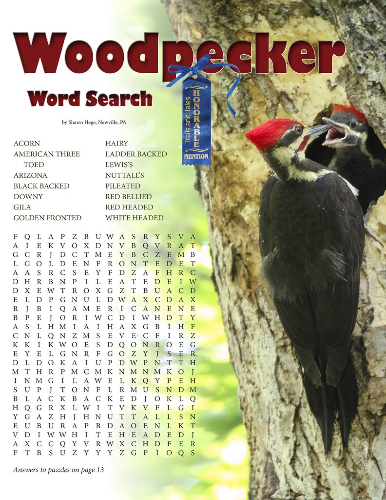 woodpecker word search