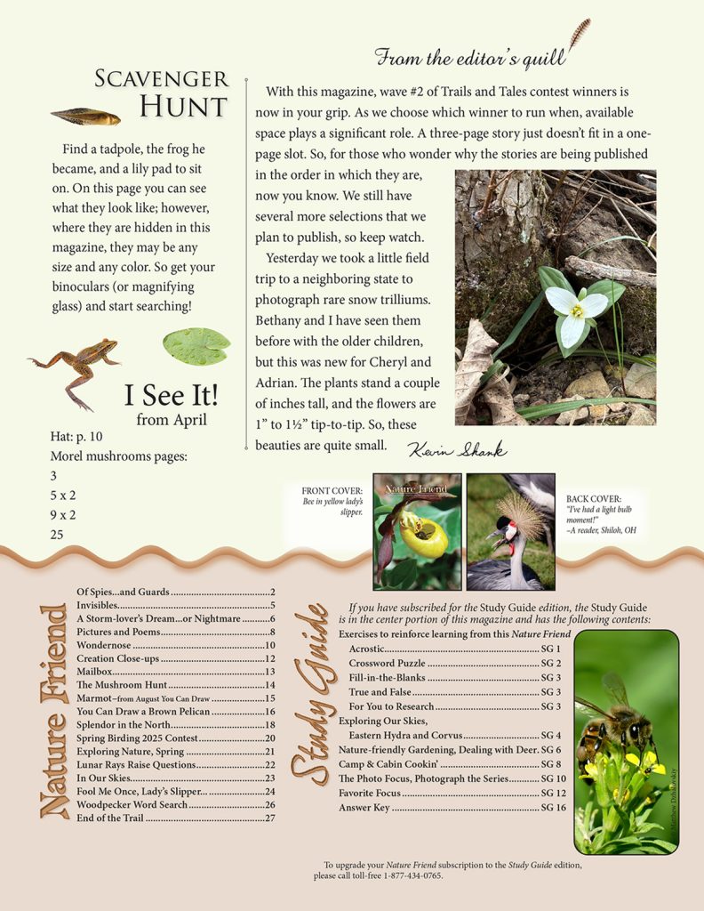 editorial, scavenger hunt puzzle, article index