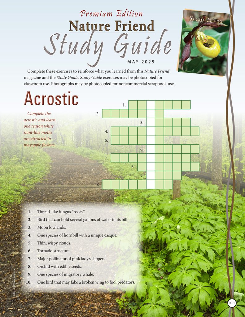 nature acrostic puzzle
