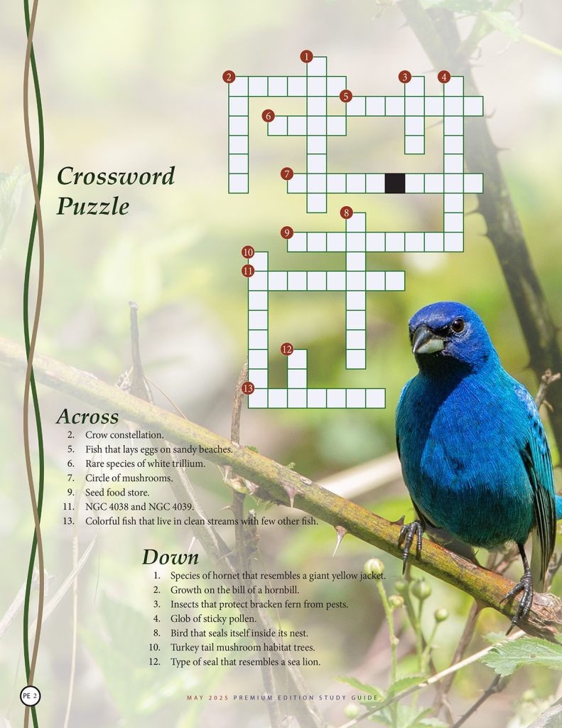 nature crossword puzzle