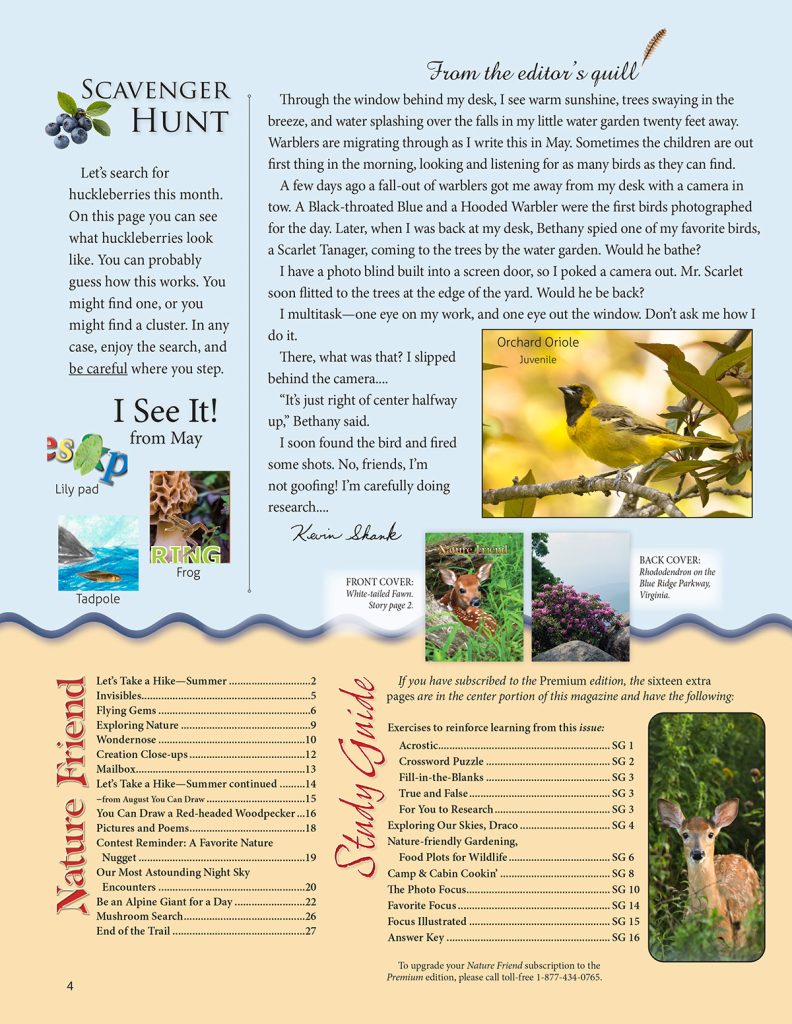 editorial, scavenger hunt puzzle, article index