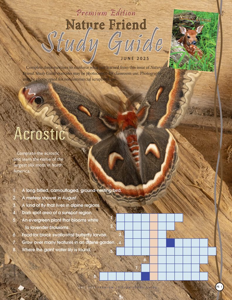 nature acrostic puzzle