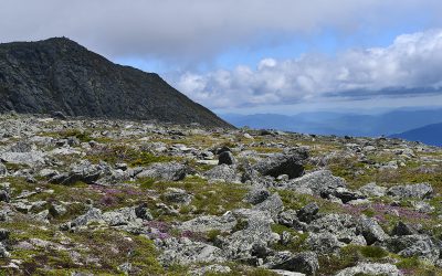 Be an Alpine Giant for a Day