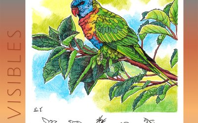 Invisibles, June 2025: Rainbow Lorikeet