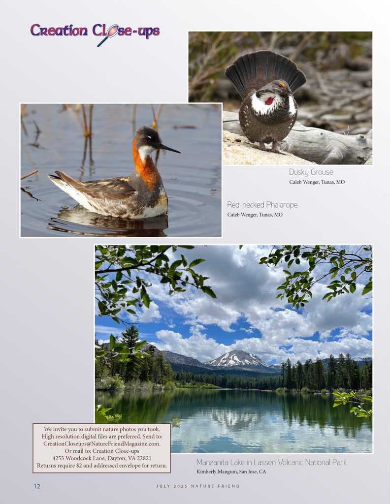 landscape and bird photos