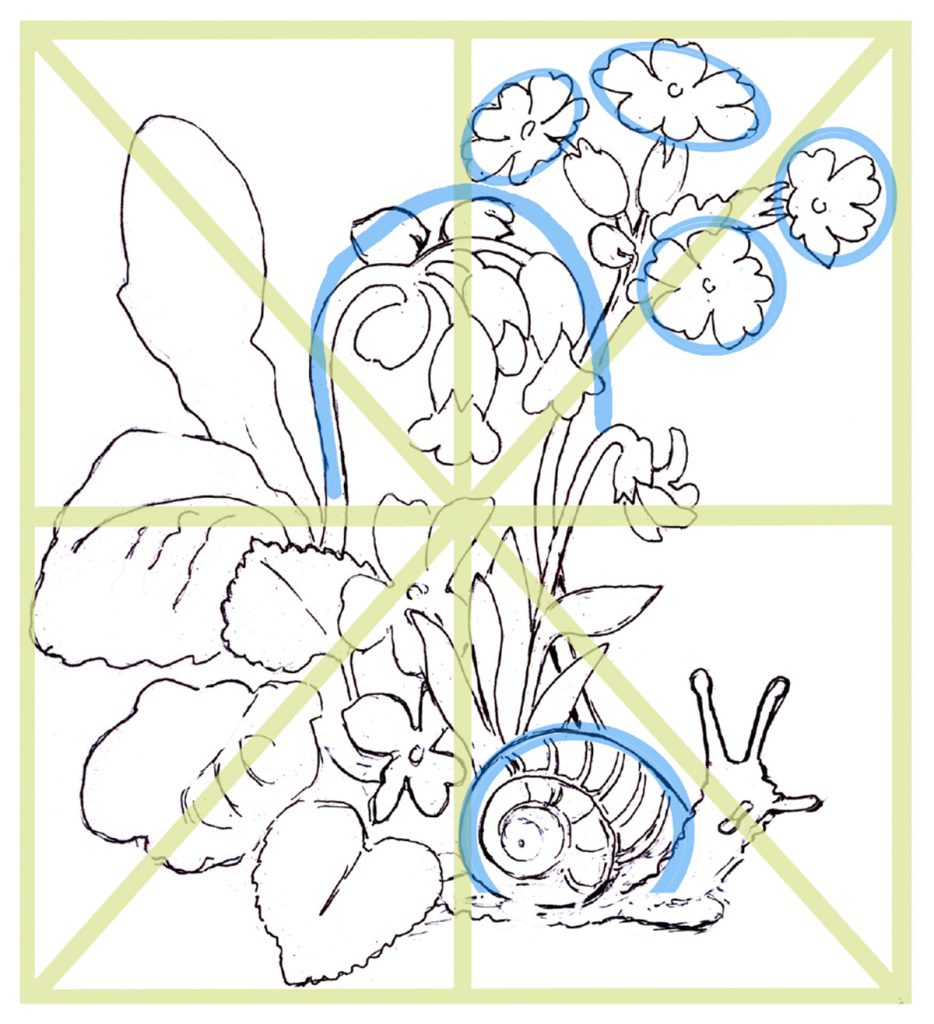 you can draw a garden snail drawing lesson step 1